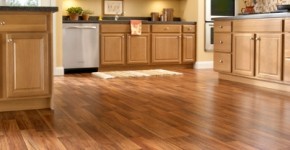 ���� ������� | ������