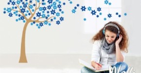 ������ ��� ����� ����� | ������